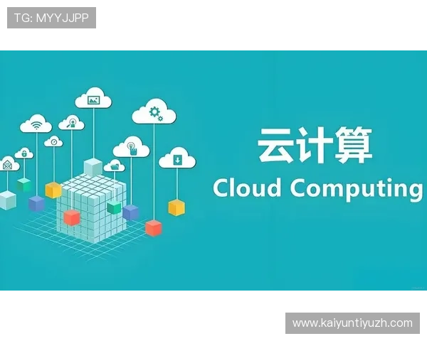 探秘开云电子娱乐官方网站背后的技术支持与运营模式