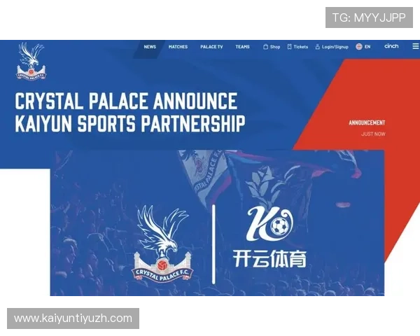 如何快速排查开云体育网页版入口问题确保顺畅游戏体验指南